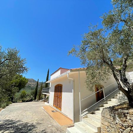 Colori Del Sud - Residence Mattinata Εξωτερικό φωτογραφία
