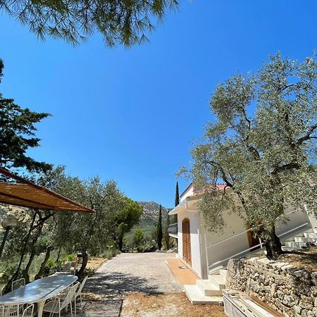 Colori Del Sud - Residence Mattinata Εξωτερικό φωτογραφία