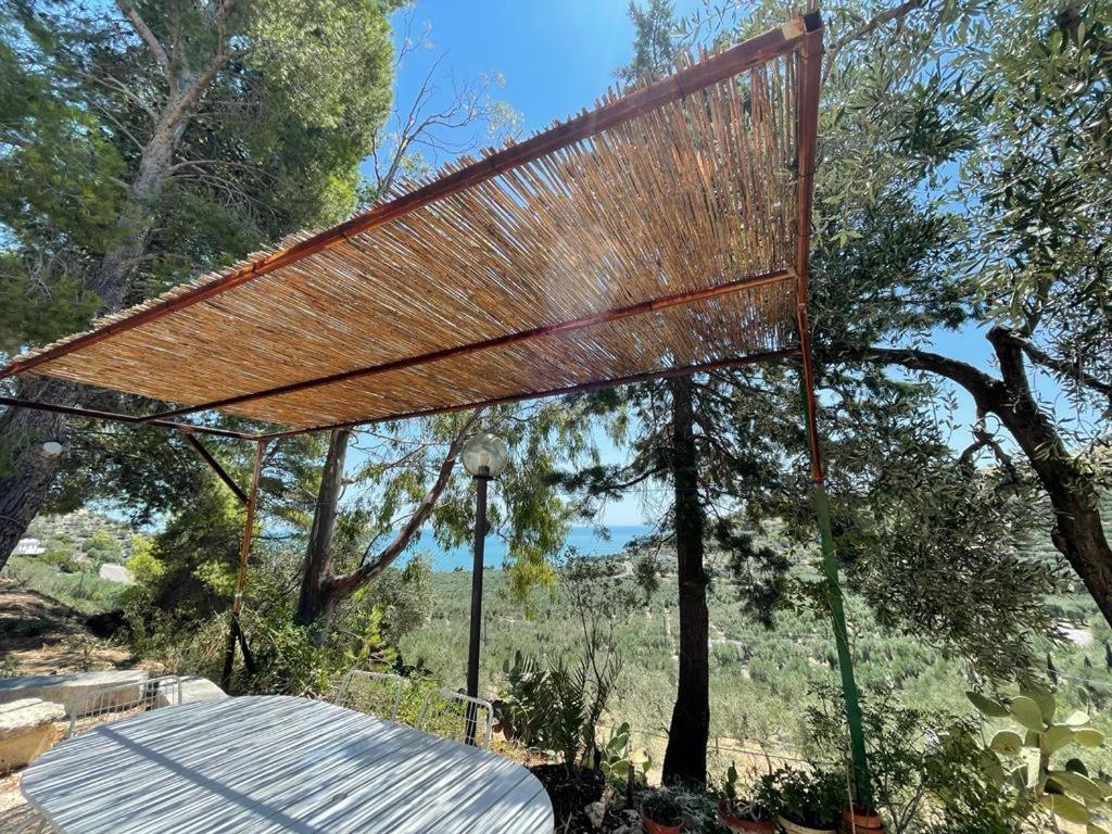Colori Del Sud - Residence Mattinata Εξωτερικό φωτογραφία